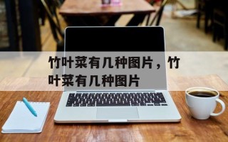竹叶菜有几种图片，竹叶菜有几种图片
