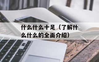 什么什么十足（了解什么什么的全面介绍）
