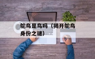 鸵鸟是鸟吗（揭开鸵鸟身份之谜）