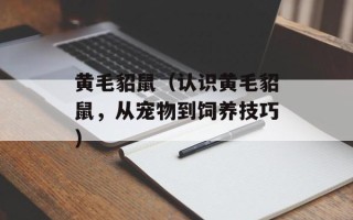 黄毛貂鼠（认识黄毛貂鼠，从宠物到饲养技巧）
