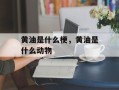 黄油是什么梗，黄油是什么动物