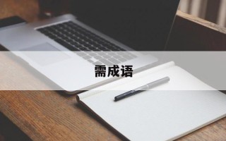 需成语