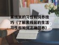 黑线鼠的习性和饲养技巧（了解黑线鼠的生活习性和如何正确饲养）