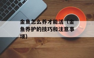 金鱼怎么养才能活（金鱼养护的技巧和注意事项）