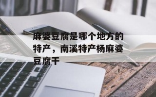 麻婆豆腐是哪个地方的特产，南溪特产杨麻婆豆腐干