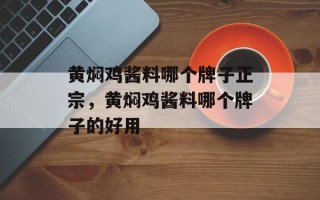 黄焖鸡酱料哪个牌子正宗，黄焖鸡酱料哪个牌子的好用