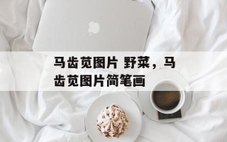 马齿苋图片 野菜，马齿苋图片简笔画