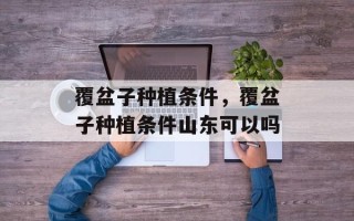 覆盆子种植条件，覆盆子种植条件山东可以吗