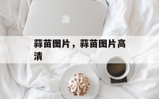 蒜苗图片，蒜苗图片高清