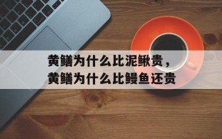 黄鳝为什么比泥鳅贵，黄鳝为什么比鳗鱼还贵