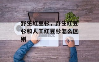 野生红豆杉，野生红豆杉和人工红豆杉怎么区别