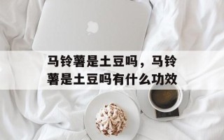 马铃薯是土豆吗，马铃薯是土豆吗有什么功效