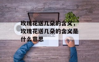 玫瑰花送几朵的含义，玫瑰花送几朵的含义是什么意思