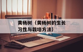 黄杨树（黄杨树的生长习性与栽培方法）