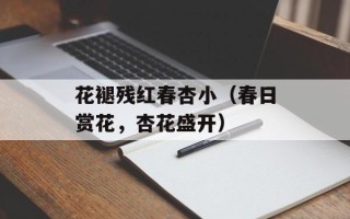 花褪残红春杏小（春日赏花，杏花盛开）