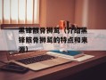 黑锋骸骨狮鹫（介绍黑锋骸骨狮鹫的特点和来源）
