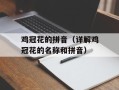 鸡冠花的拼音（详解鸡冠花的名称和拼音）