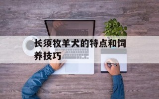长须牧羊犬的特点和饲养技巧
