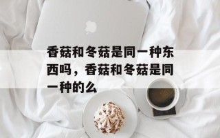 香菇和冬菇是同一种东西吗，香菇和冬菇是同一种的么