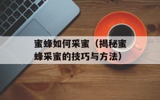 蜜蜂如何采蜜（揭秘蜜蜂采蜜的技巧与方法）