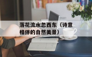 落花流水忽西东（诗意相伴的自然美景）