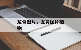 龙骨图片，龙骨图片植物