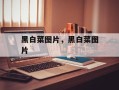 黑白菜图片，黑白菜图片