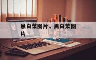 黑白菜图片，黑白菜图片