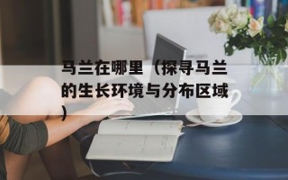 马兰在哪里（探寻马兰的生长环境与分布区域）