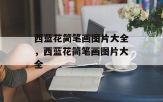 西蓝花简笔画图片大全，西蓝花简笔画图片大全