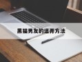 黑猫男友的逗弄方法