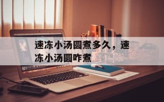 速冻小汤圆煮多久，速冻小汤圆咋煮