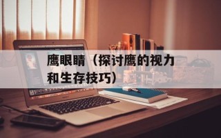 鹰眼睛（探讨鹰的视力和生存技巧）