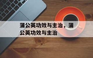 蒲公英功效与主治，蒲公英功效与主治