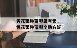 黄花菜种苗哪里有卖，黄花菜种苗哪个地方好