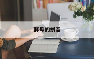 酵母的拼音