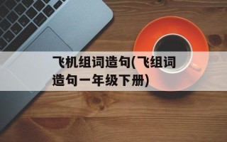 飞机组词造句(飞组词造句一年级下册)