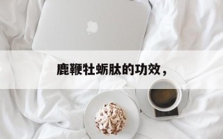 鹿鞭牡蛎肽的功效，