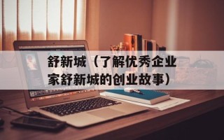 舒新城（了解优秀企业家舒新城的创业故事）