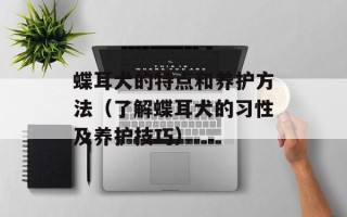 蝶耳犬的特点和养护方法（了解蝶耳犬的习性及养护技巧）