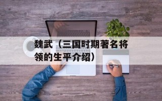魏武（三国时期著名将领的生平介绍）