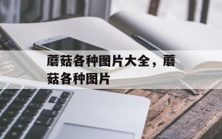 蘑菇各种图片大全，蘑菇各种图片