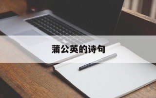 蒲公英的诗句
