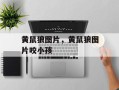 黄鼠狼图片，黄鼠狼图片咬小孩