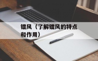 镭风（了解镭风的特点和作用）