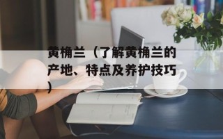 黄桷兰（了解黄桷兰的产地、特点及养护技巧）