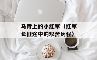 马背上的小红军（红军长征途中的艰苦历程）