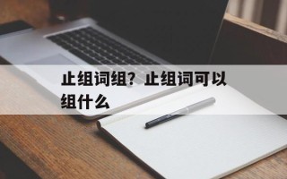 止组词组？止组词可以组什么