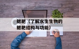 鳃耙（了解水生生物的鳃耙结构与功能）
