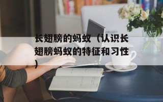 长翅膀的蚂蚁（认识长翅膀蚂蚁的特征和习性）